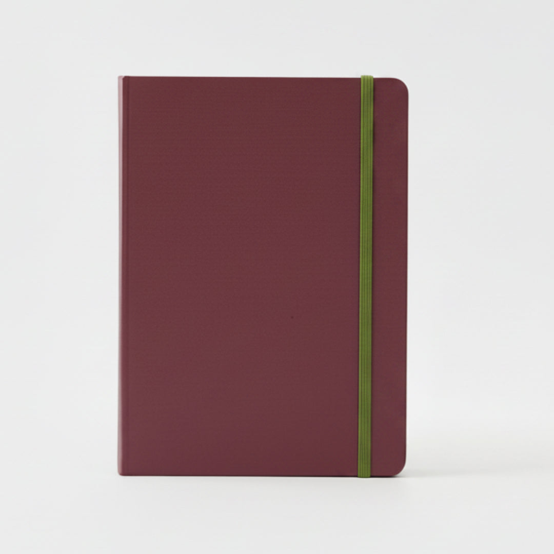 Notebook Äggplanta